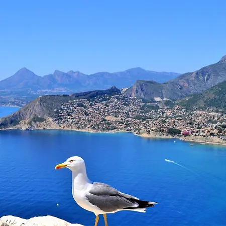 Apartman Aman128 Calpe